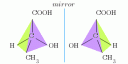 乳酸の光学異性体(two enantiomers of lactic acid)