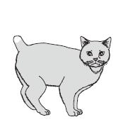 8-3