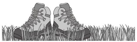 grass